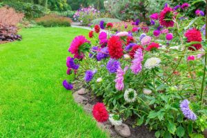 Reliable Landscaping Contractor in Kirkland, WA Landscaping Contractor in Kirkland, WA