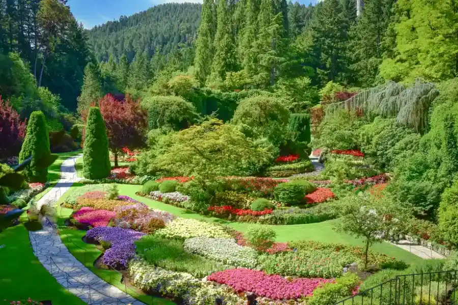 Benefits Of Layering Plant Heights In Landscape Design Kirkland WA Benefits Of Layering Plant Heights In Landscape Design Kirkland WA