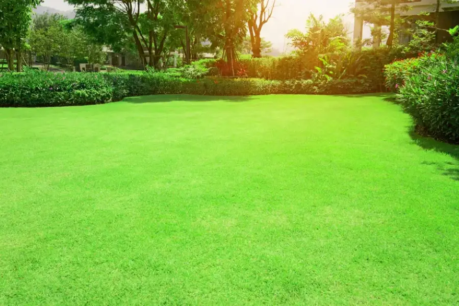 Common Challenges In Landscaping Maintenance Solutions Kirkland WA Common Challenges In Landscaping Maintenance Solutions Kirkland WA