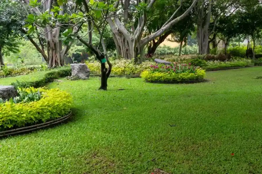 Excellent Landscaping Maintenance Kirkland, WA Excellent Landscaping Maintenance Kirkland, WA