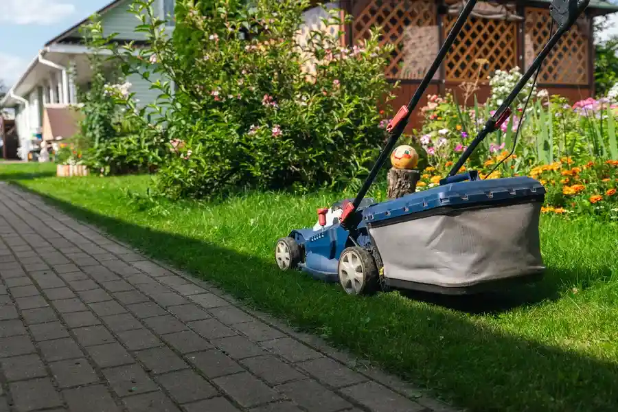 Experienced Landscaping Maintenance Kirkland, WA Experienced Landscaping Maintenance Kirkland, WA