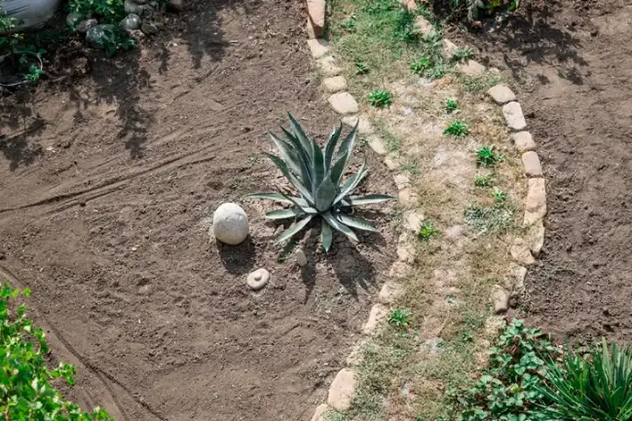 How Landscape Installation Can Improve Outdoor Functionality Kirkland WA How Landscape Installation Can Improve Outdoor Functionality Kirkland WA