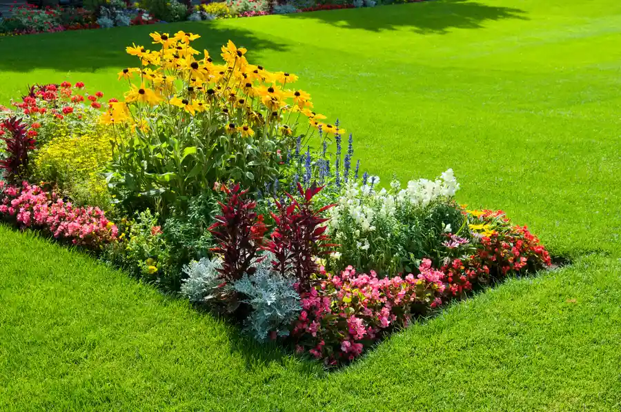 How To Choose Plants That Complement Your Landscape Design Kirkland WA How To Choose Plants That Complement Your Landscape Design Kirkland WA