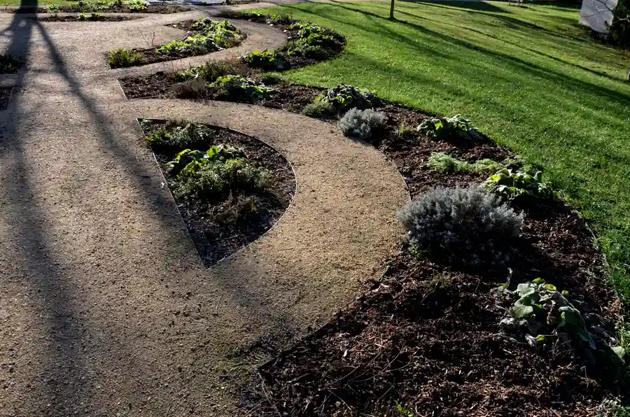 How To Choose Plants That Complement Your Landscape Design in Kirkland WA How To Choose Plants That Complement Your Landscape Design in Kirkland WA