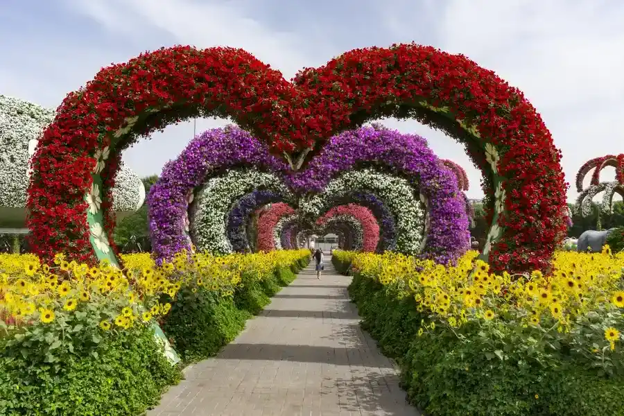 Professional Landscape Installation Kirkland, WA Professional Landscape Installation Kirkland, WA
