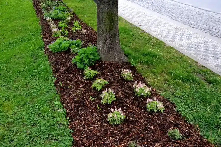 Reliable Mulch Installation Kirkland, WA Reliable Mulch Installation Kirkland, WA